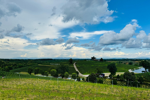 Chiang Rai: Top 7 Must-Visit Attractions – Private Tour