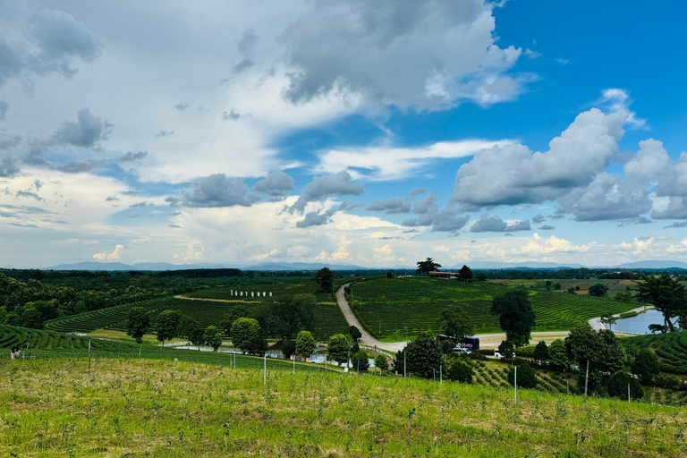 Chiang Rai: Top 7 Must-Visit Attractions – Private Tour