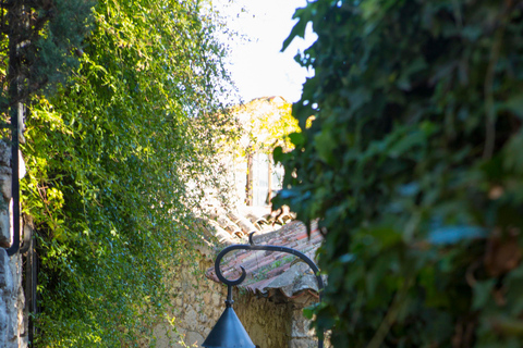 Èze: Walking Tour of Medieval Village and Exotic Garden