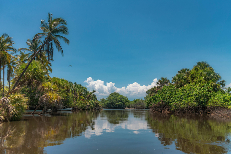 From Colombo Negombo Dutch Canal & Village Cooking Tour