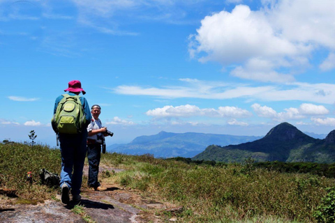 From Kandy: Knuckles Forest Range Wildlife & Waterfall Trek Overnight tour with Tented Accommodation