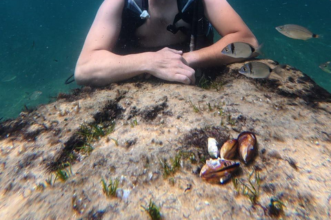 Mahdia: Guided Medina Tour and Scuba Diving Experience