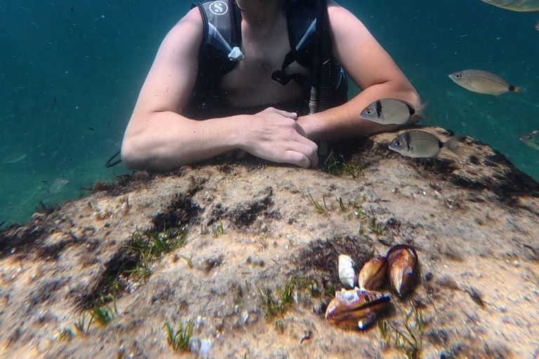 Mahdia: Guided Medina Tour and Scuba Diving Experience