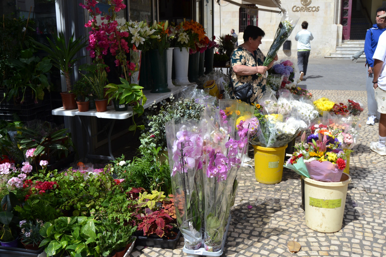 Visita guiada em francês de Cadix com um guia local