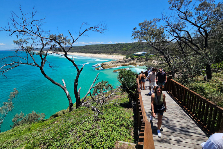 Isola di North Stradbroke: Escursione di un giorno con la fauna selvatica e la spiaggia8:30 YHA Brisbane City Servizio di prelievo