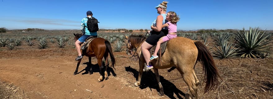 Randonnée à cheval dans la jungle et sur la plage + déjeuner + mezcal