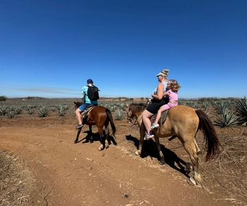 Paseo a caballo por la selva y la playa + comida + mezcal