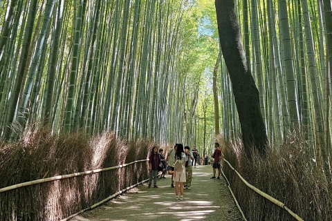 Kyoto: Arashiyama Bamboo Grove 3-Hour Guided Tour Private Tour