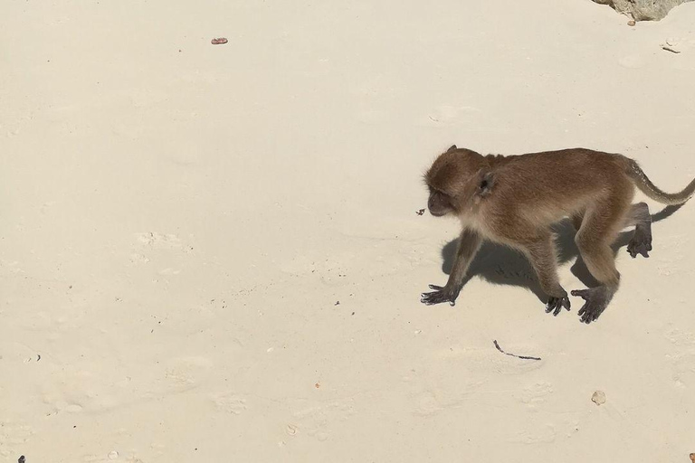 Da Phi Phi: Tour di 7 isole in barca a coda lunga