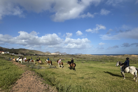 Isla de Porto Santo: Paseos a caballo180 min Aventura