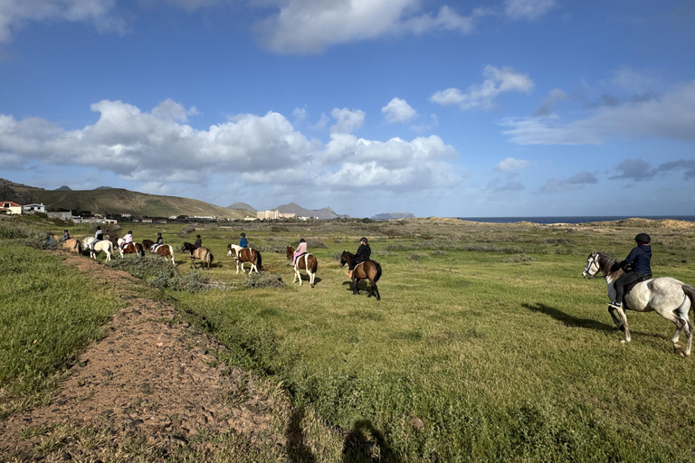 Isla de Porto Santo: Paseos a caballo180 min Aventura