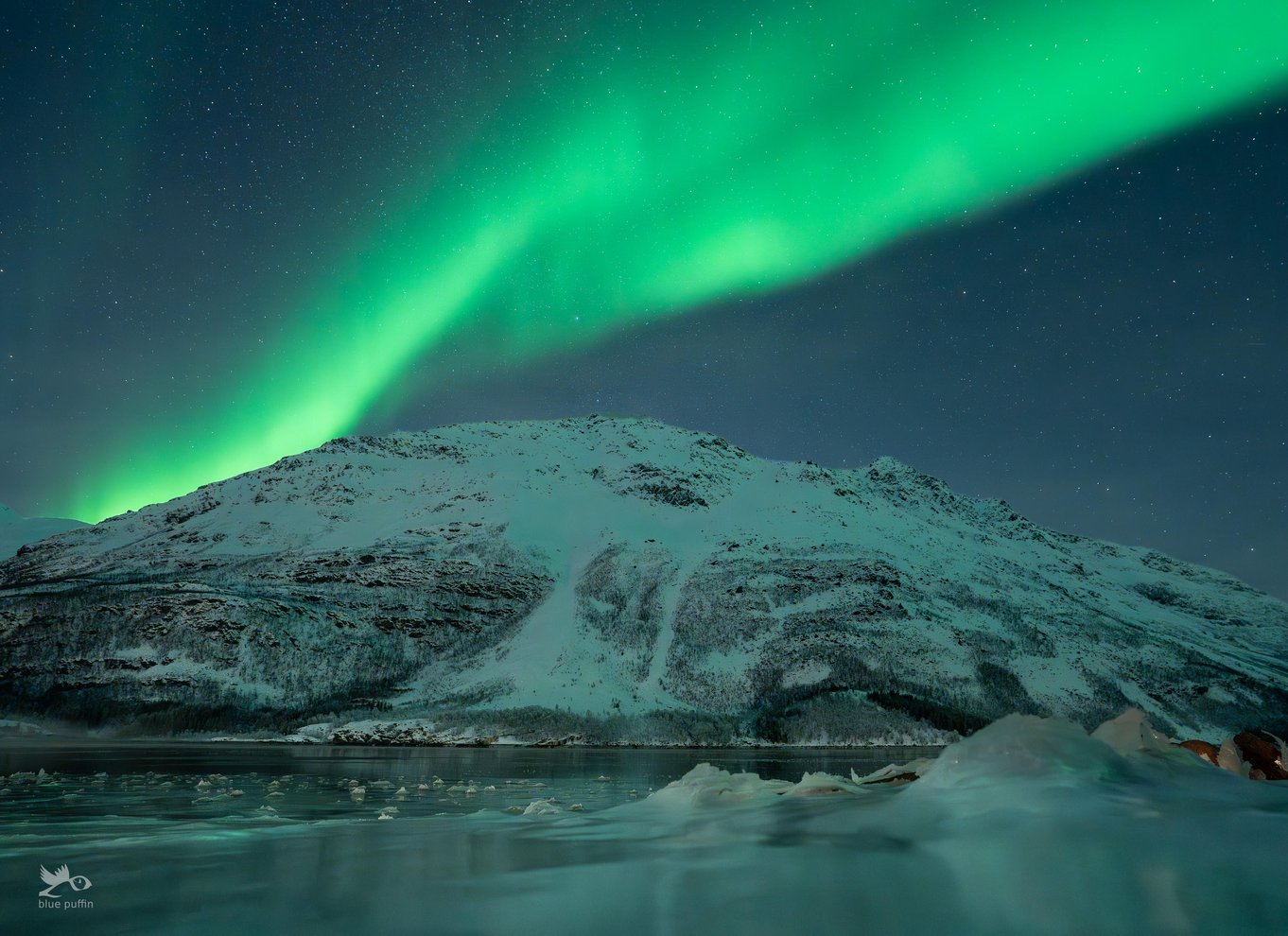 Tromsø: Nordlys i minibus med gratis fotos og et varmt måltid