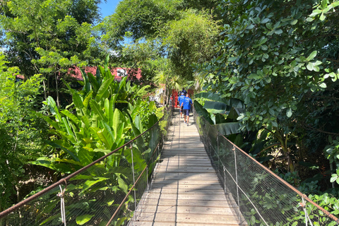 Country Coffee Farm Tour with Tasting and Lunch