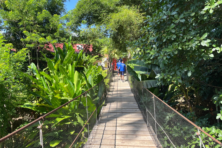 Country Coffee Farm Tour with Tasting and Lunch