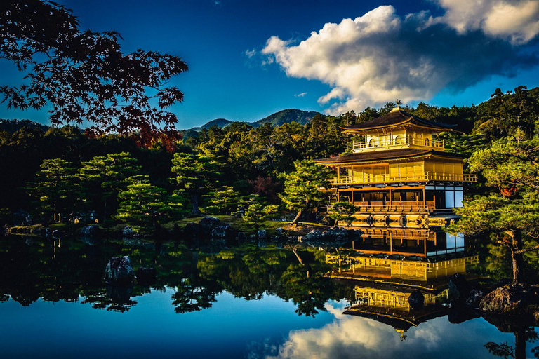 Von Kyoto aus: Kyoto Private Tagestour mit individueller Besichtigung