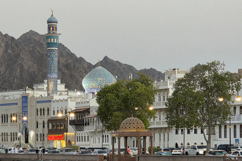 Muscat: Half-Day Guided City Tour with Hotel Pickup