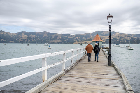 From Christchurch: Akaroa Day Tour with Nature Cruise