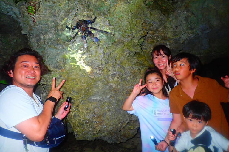 Yonaguni Island: Stargazing and Jungle Night Tour