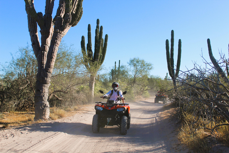 La Paz: ATV Route to Comitan and El Mogote Dunes La Paz: ATV Route to Comitán and El Mogote Dunes