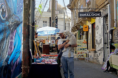 Valparaíso: Historical Walking Tour with Local Guide
