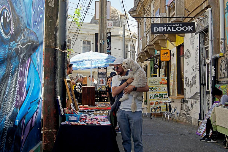 Valparaíso: Historical Walking Tour with Local Guide