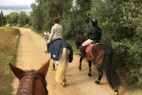 Horseback Riding in Costa Brava with Castell d’Empordà Views