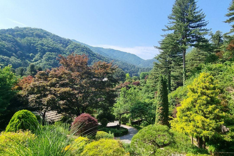 Seoul: Nami Island, Garden of Morning Calm, & Railbike Tour