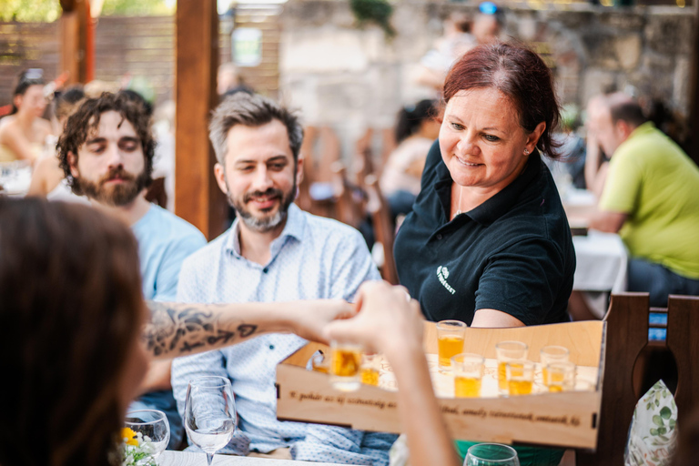 Budapest: Half-Day Wine Tour and Meal in Local Wine Village