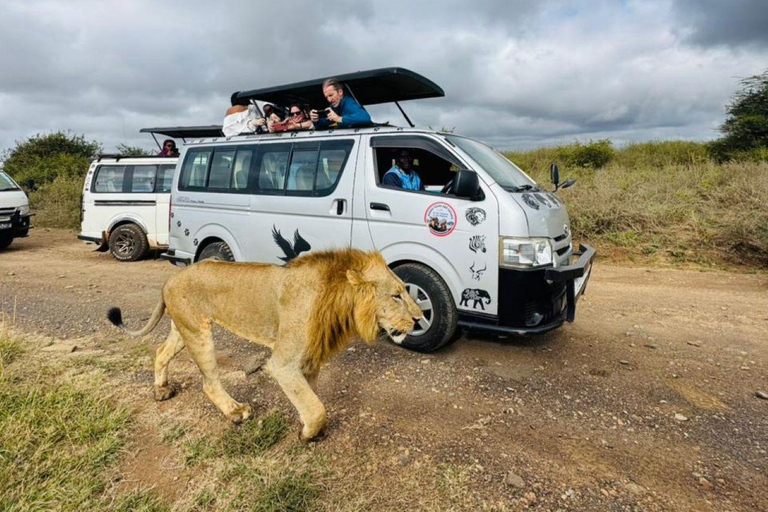 Nairobi National Park Evening Game Drive & sundowner Nairobi National Park Evening Game Drive & sundowner - VAN