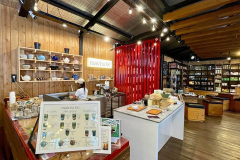 Kandy: Royal Botanical Garden & Tea Factory Tour Pick & Drop Without Entry Ticket in Royal Botanical Garden