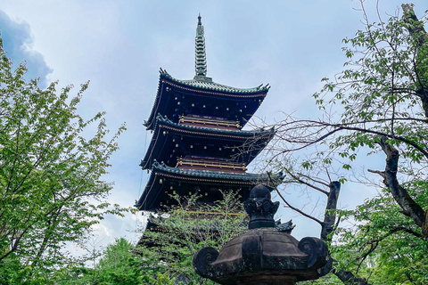 Tokio A: Tour de la ciudad en Español - Spanish Tokyo A: Private Tour