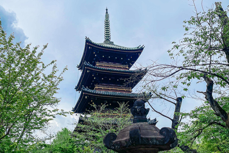 Tokio A: Tour de la ciudad en Español - Spanish Tokyo A: Private Tour