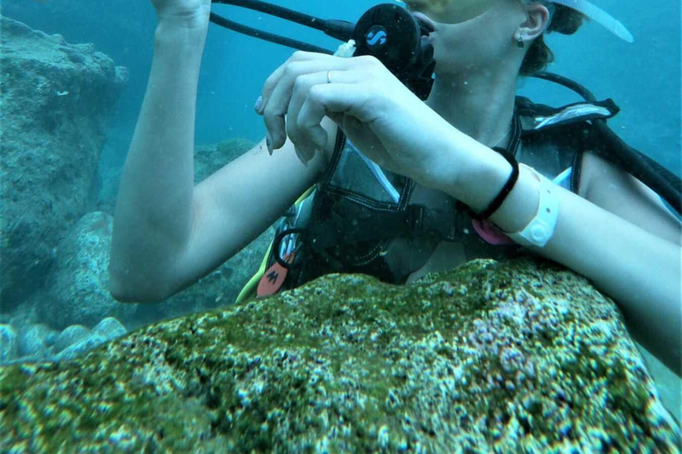Kemer: Scuba Diving Experience in Aquarium and Kiris Bays Transfer service from the entire Kemer region