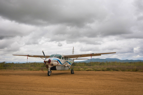 Från Zanzibar: Mikumi Safari med tvåmotorigt flygplan + lunchMikumi Safari – utan transfer