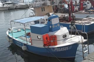 Neapel: Schnorchel-Bootstour an der Posillipo-Küste mit Speisen und Getränken