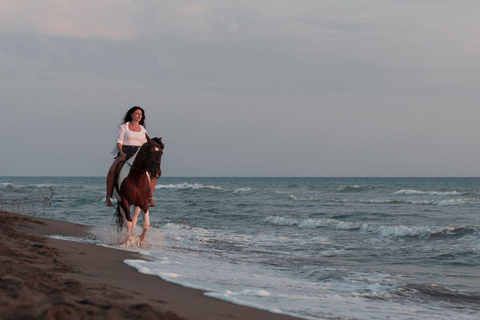 Horse Riding With Optional Sunrise & Red Sea Desert Hurghada {VIP} Horse Riding 4 Hours – With Swim Stop Only