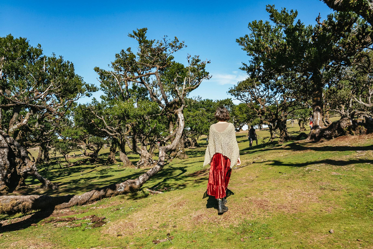 From Funchal: West Madeira and Laurel Forest Day Trip