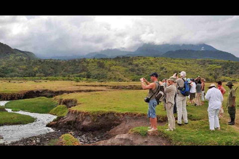 Arusha: Dagtrip Nationaal Park met Ngurdoto krater