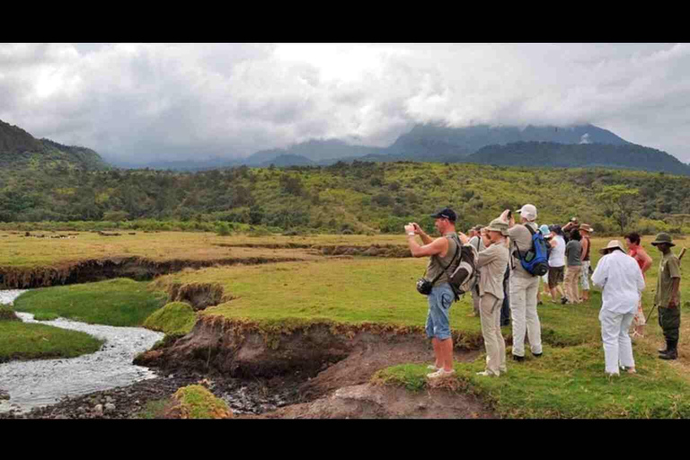 Arusha: Dagtrip Nationaal Park met Ngurdoto krater