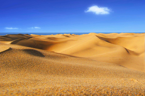 Essentials of the south of Gran Canaria Guided bus tour with pick-up from Las Palmas