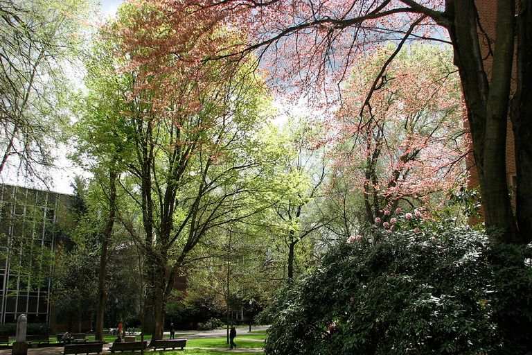 Guidad stadsvandring i centrala Portland, Oregon