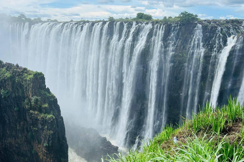 Visite guidée des chutes Victoria côté Zambie