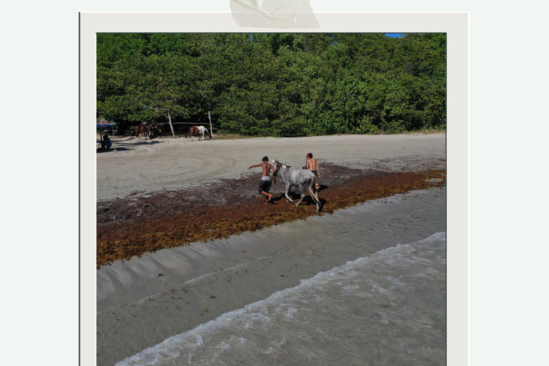 St. Lucia: Private Romance & Rose Horseback Experience