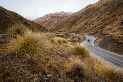 Queenstown: Kawarau Gorge, Lake Pukaki & Aoraki Mt Cook Tour