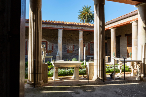Pompeii: New Discoveries & Ancient Wonders Tour with Ticket Semi-Private Group max 8 people