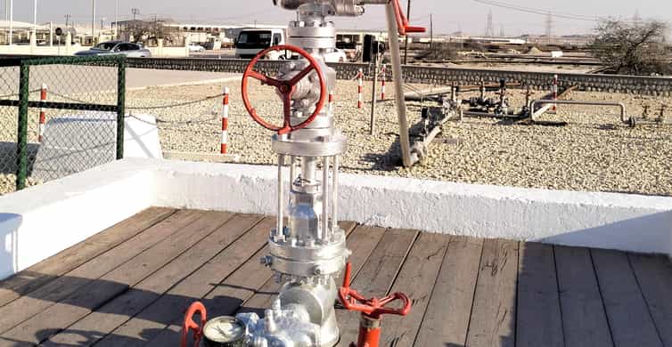 Bahrain: Tree of Life & Desert Heritage Bus Tour photo 8