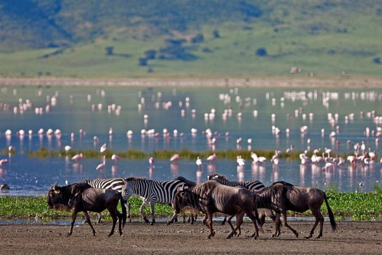 Nairobi: Lake Bogoria Canoe and Birdwatching Tour
