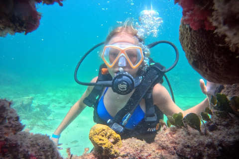 Djerba: First Scuba Diving Experience with Instructor