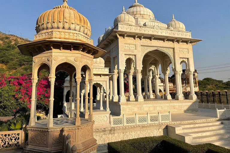 Jaipur: Tour turístico privado de día completo en coche con guíaVisita a Jaipur en coche con conductor y guía