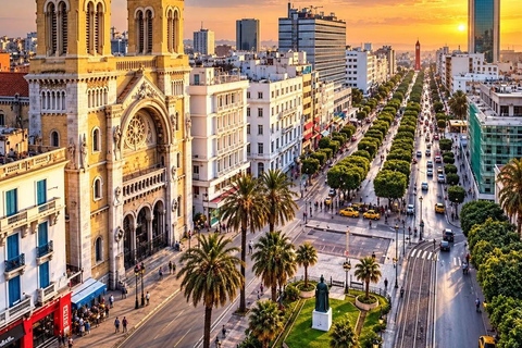Tunis: Medina & Bardo Museum Private Tour with Tickets